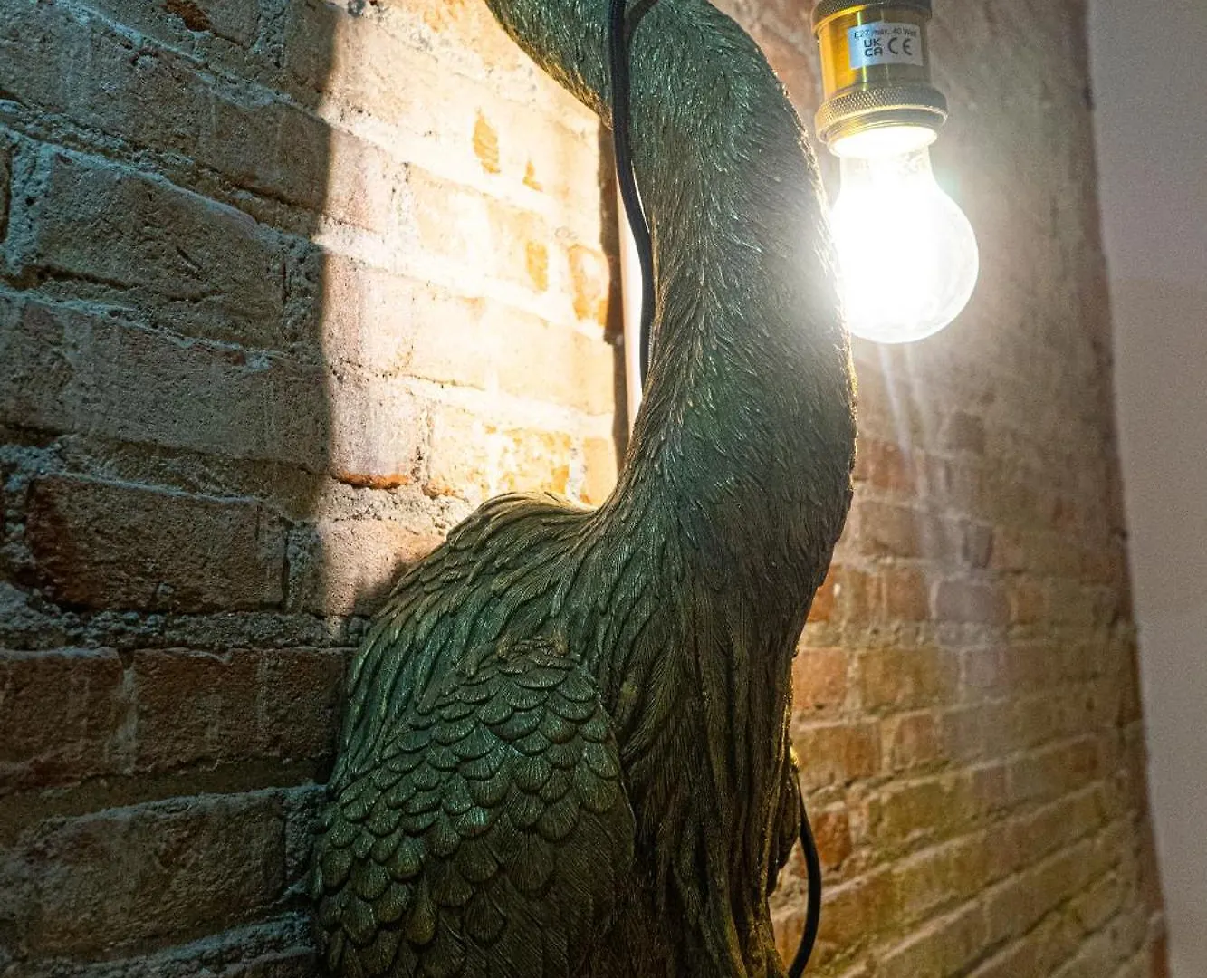 Black Swan Hostel グラナダ 0*,