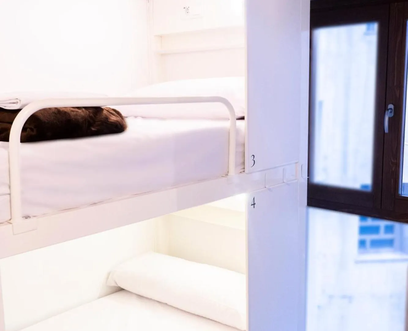 Black Swan Hostel Granada Spanien